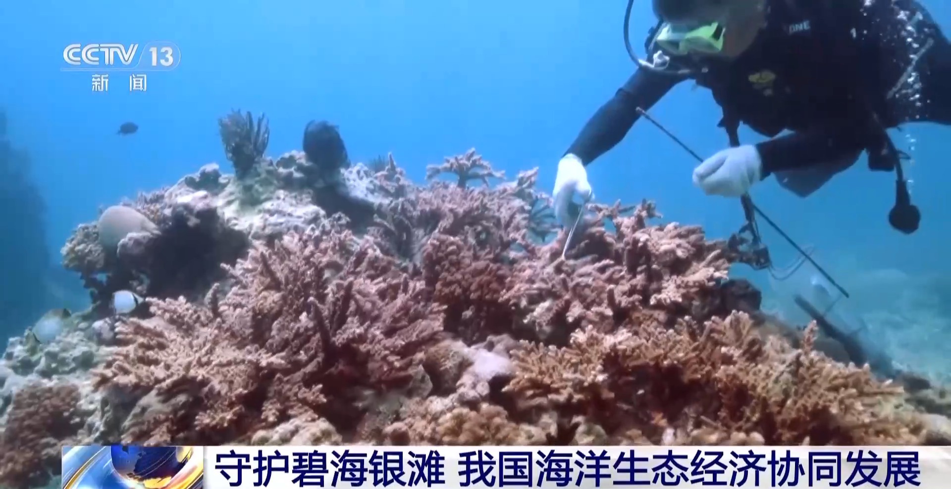 守护碧海银滩 我国海洋生态经济协同发展